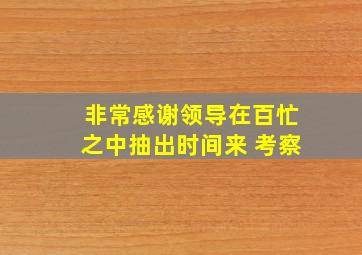 非常感谢领导在百忙之中抽出时间来 考察